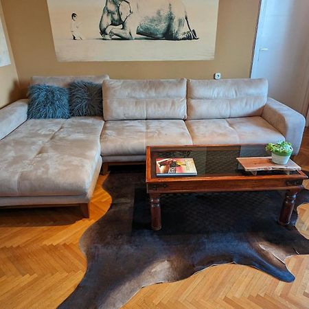 Center, Private Garage, Danube & Fortress, 3 Bdrm 2 Bath Novi Sad Exteriör bild